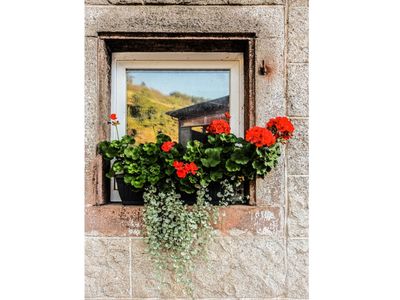 Ferienwohnung für 2 Personen (40 m²) in Oberkirch 9/10