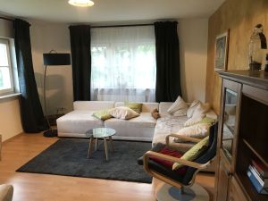 22078061-Ferienwohnung-4-Oberkirch-300x225-2