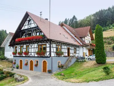 Ferienwohnung für 4 Personen (70 m²) in Oberkirch 1/10