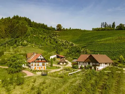 Ferienwohnung für 4 Personen (70 m²) in Oberkirch 3/10