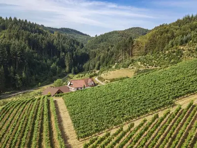 Ferienwohnung für 4 Personen (70 m²) in Oberkirch 4/10