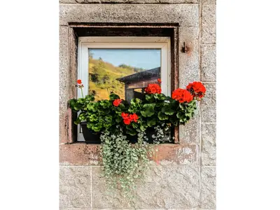 Ferienwohnung für 2 Personen (40 m²) in Oberkirch 8/10