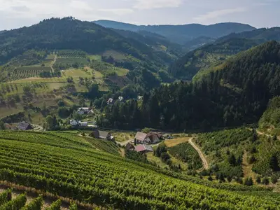 Ferienwohnung für 4 Personen (70 m²) in Oberkirch 1/10