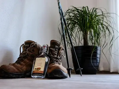 Ferienwohnung für 4 Personen (60 m²) in Oberkirch 1/10