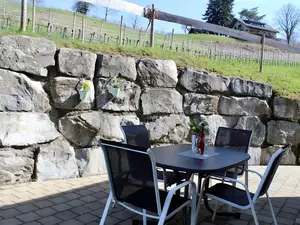 Ferienwohnung für 3 Personen (45 m²) in Oberkirch