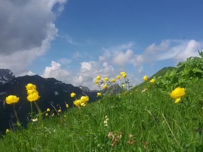 Traumhafte Bergwelt