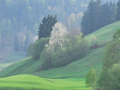 Landschaft Obermaiselstein 3