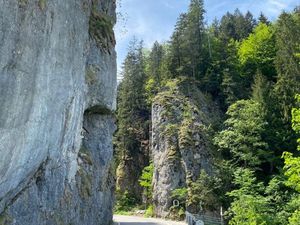 23367667-Ferienwohnung-4-Obermaiselstein-300x225-5