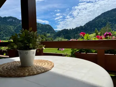 Ferienwohnung für 4 Personen (60 m²) in Obermaiselstein 1/10