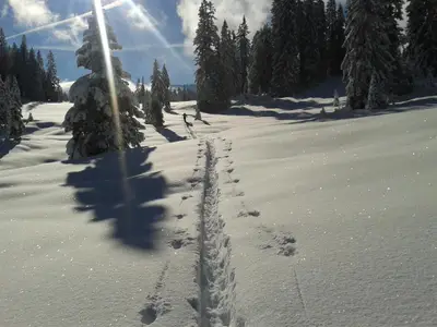 Winterlandschaft im Allgäu