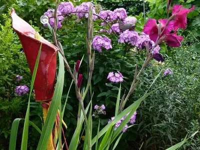 Ferienwohnung für 2 Personen in Obermaiselstein 3/10