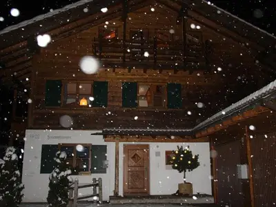 Ferienwohnung für 3 Personen (50 m²) in Obermaiselstein 7/10