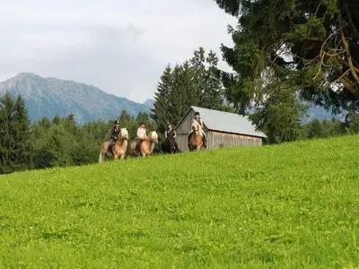 Ferienwohnung für 4 Personen (70 m²) in Obermaiselstein 2/10