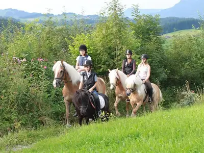 Ferienwohnung für 4 Personen (70 m²) in Obermaiselstein 3/10