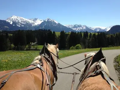 Ferienwohnung für 4 Personen (70 m²) in Obermaiselstein 6/10
