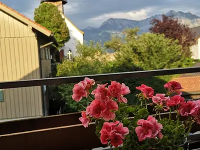 Ferienwohnung für 4 Personen (66 m²) in Obermaiselstein 10/10