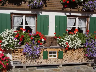 Ferienwohnung für 4 Personen (65 m²) in Obermaiselstein 9/10