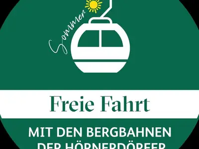Ferienwohnung für 4 Personen (48 m²) in Obermaiselstein 7/10