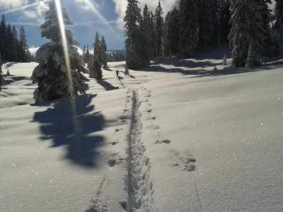 Ferienwohnung für 2 Personen (52 m²) in Obermaiselstein 7/10