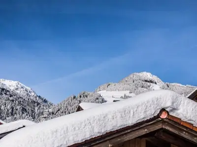 Ferienwohnung für 5 Personen (98 m²) in Obermaiselstein 9/10