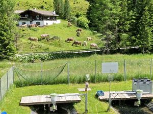 23686067-Ferienwohnung-5-Obernberg am Brenner-300x225-1