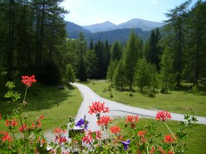 24030052-Ferienwohnung-2-Obernberg am Brenner-300x225-5