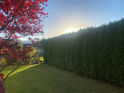 P6_Oberndorf_Tirol_GARTEN