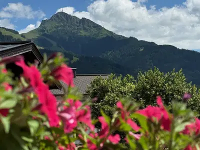 Balkon_Hirsch