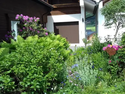 Vorgarten mit Zugang