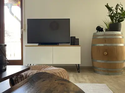 TV