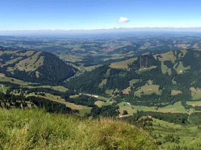 Blick vom Kojen