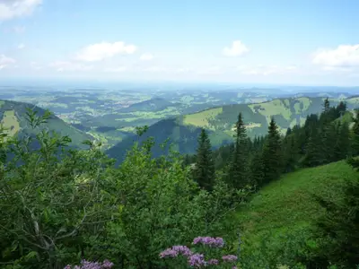Westallgäu