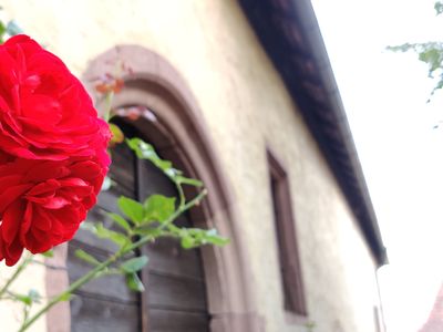 Ferienwohnung für 3 Personen in Oberschwarzach 6/10