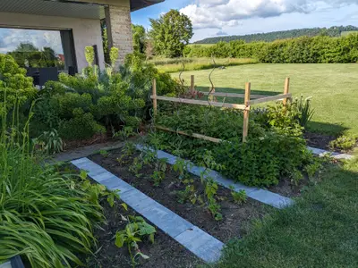 Garten mit Rasen-Liegefläche