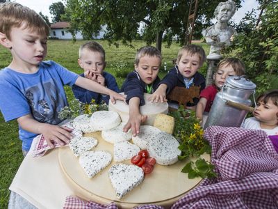 Selbstgemachte Mozarella