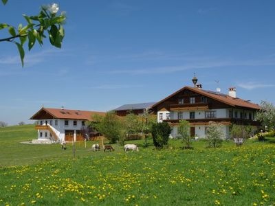 Frühling am Berghof