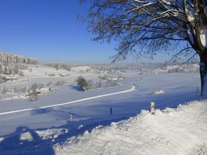 22498237-Ferienwohnung-4-Oberstaufen-300x225-2