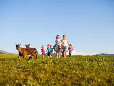 Pony Fatima mit Ziegen Hanni und Nanni