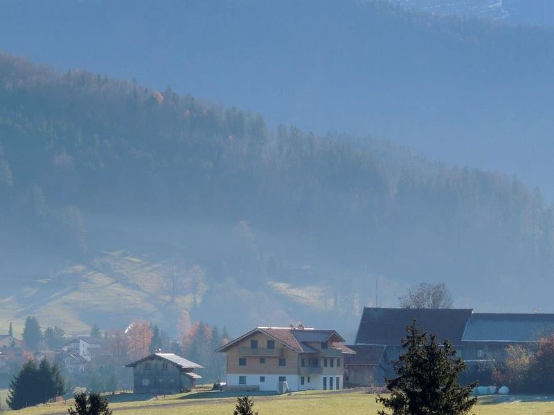 23293279-Ferienwohnung-6-Oberstaufen-800x600-1