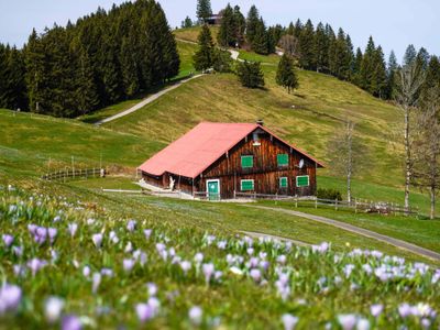 Oberstaufen Wanderung