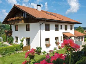 Ferienwohnung für 4 Personen (48 m²) in Oberstaufen