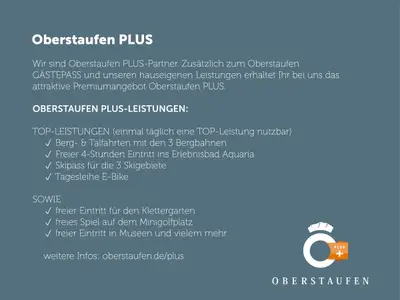 Ferienwohnung für 4 Personen (62 m²) in Oberstaufen 8/8