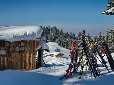 Winter