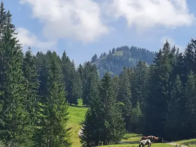Ferienwohnung für 4 Personen (70 m²) in Oberstaufen 8/10