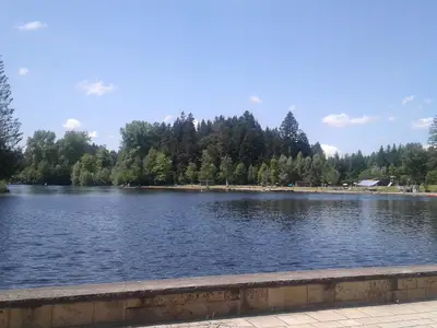 Waldsee bei Lindenberg