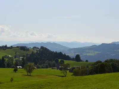 DSC_1822