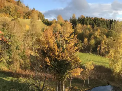 Blick zur Staufner Quelle