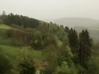Blick von der FEWO bei trübem Wetter