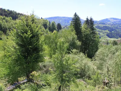 Blick in die Natur von der Terrasse
