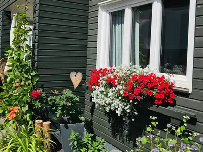 Haus FEWO Fenster